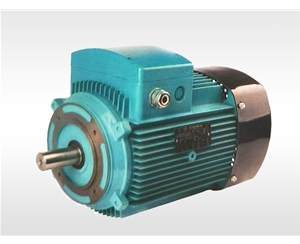 YE3系列鋁殼電動(dòng)機(jī)